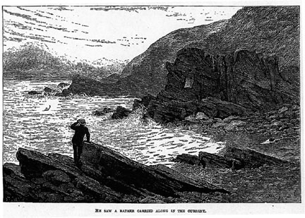Plate 11