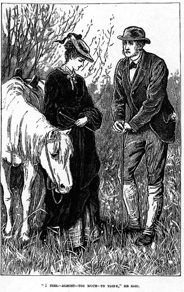 Plate 4