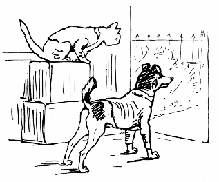 Ginger and Pickles
